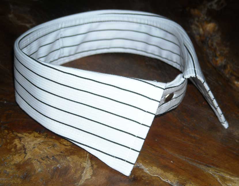 JantzenDetachedCollar3.jpg