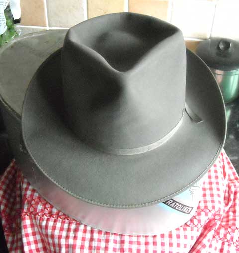 StetsonStratoliner3.jpg